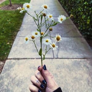 Custom Bundle (You Dm Me What You Want And I Will Get It Done) READ CAPTION!!